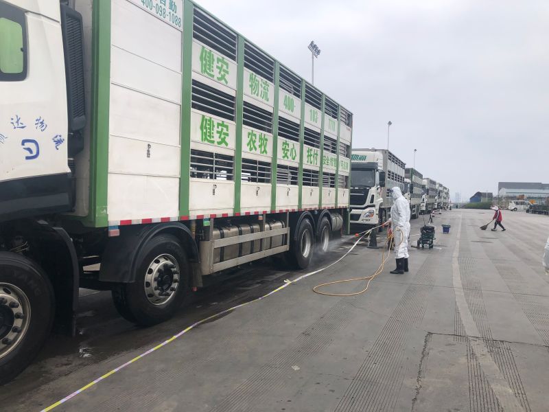 昆明海关积极保障种猪进口访谈实况