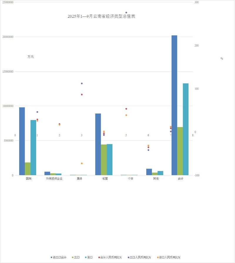 2025年1—9月云南省经济类型总值表