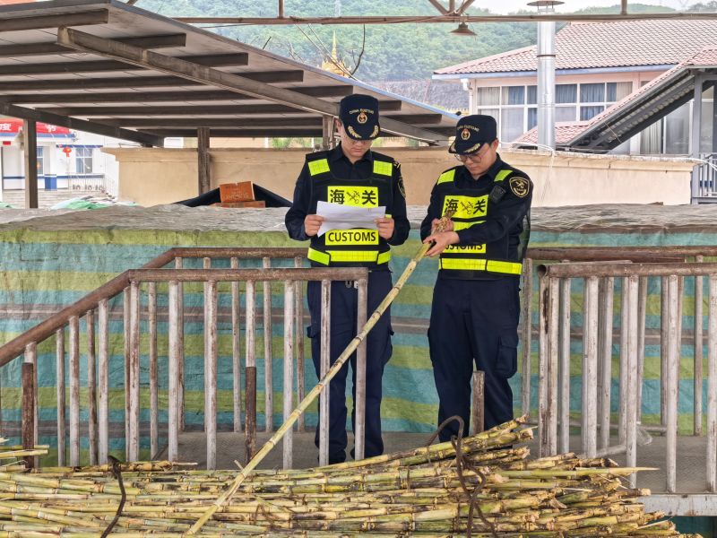 通关便利激活边贸“甜蜜动能” 新榨季云南进口甘蔗达375万吨